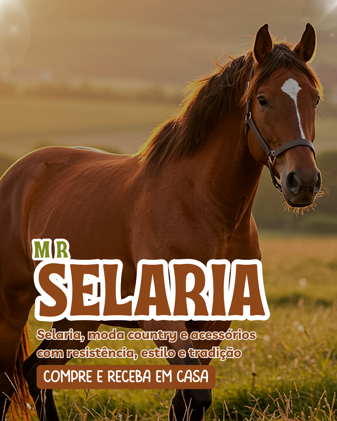 All About Horses Nonfiction Unit Presentation in Colorful Illustrative Style (1080 x 1920 px) (1080 x 1350 px)